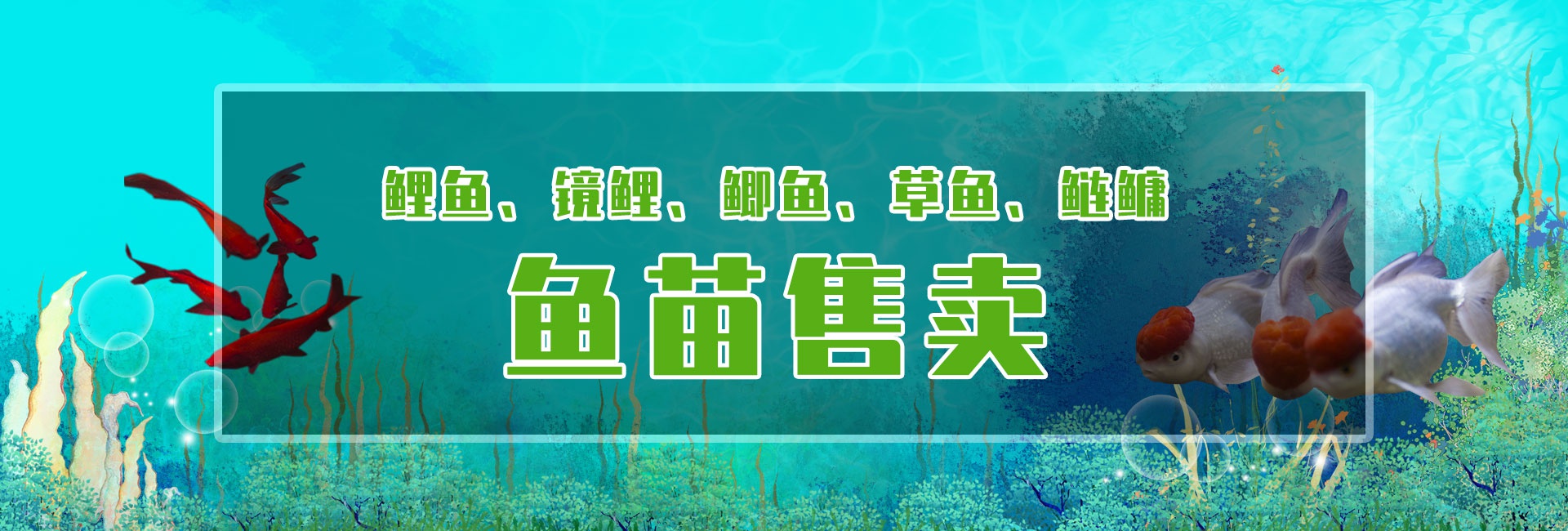 &#20964;&#20976;&#40;&#20013;&#22269;&#41;&#23448;&#26041;&#32593;&#31449;&#45;&#30331;&#24405;&#20837;&#21475;