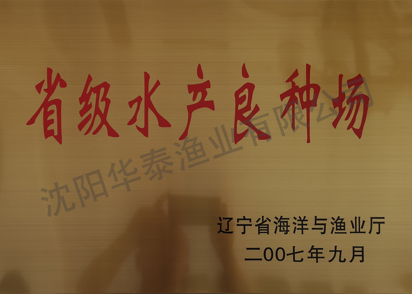 &#20964;&#20976;&#40;&#20013;&#22269;&#41;&#23448;&#26041;&#32593;&#31449;&#45;&#30331;&#24405;&#20837;&#21475;